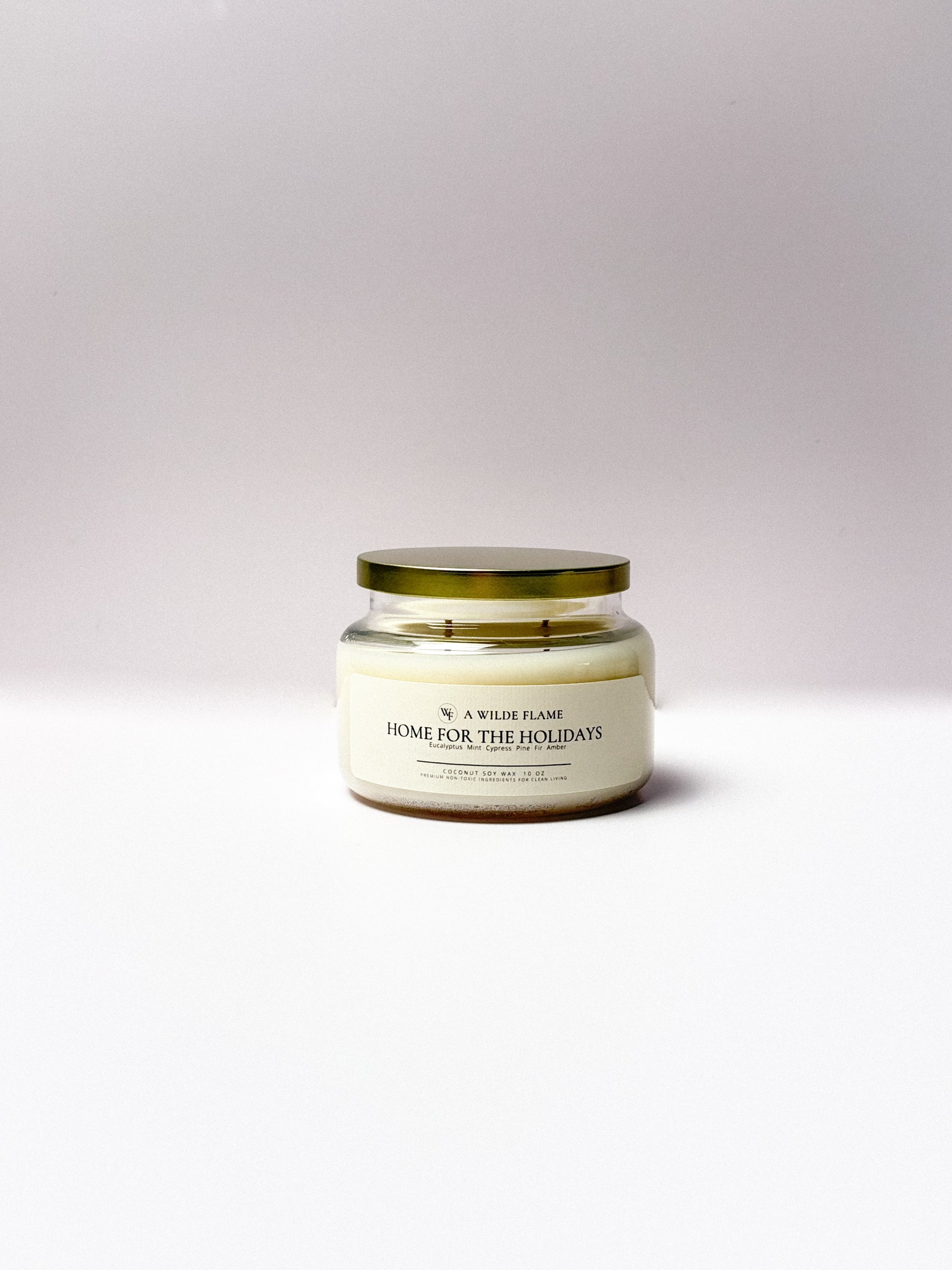 Home For The Holidays