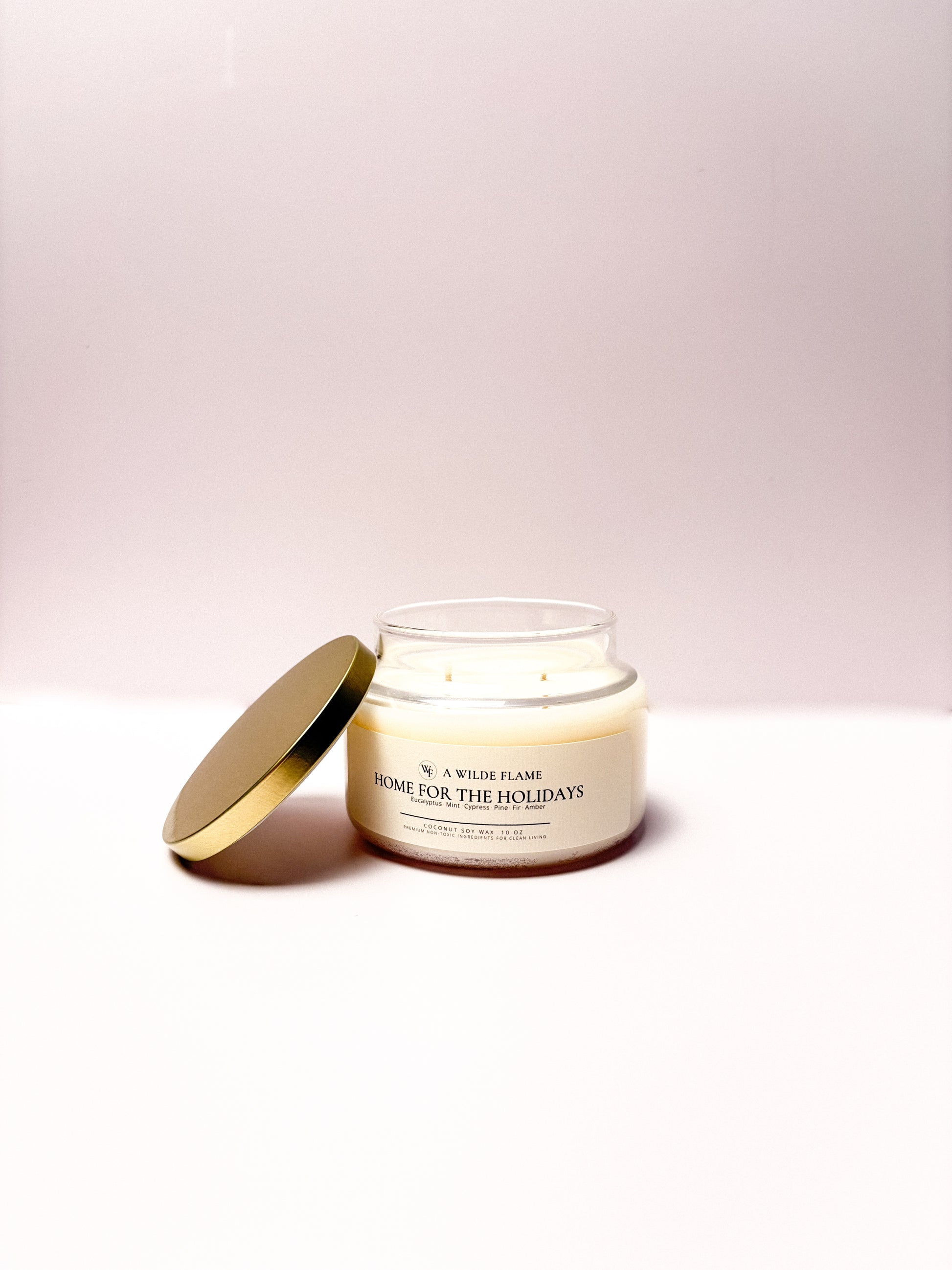 Home For The Holidays